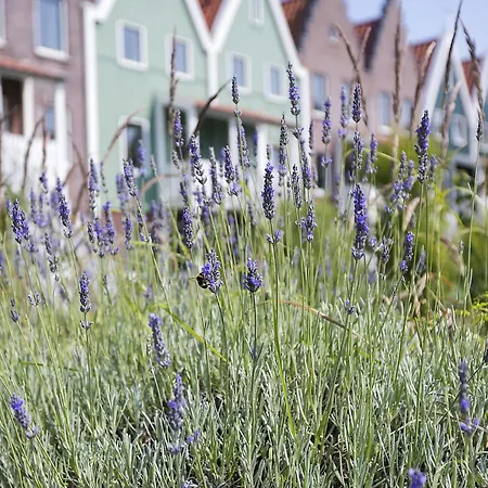 Semesterpark Roompot Marinapark Volendam