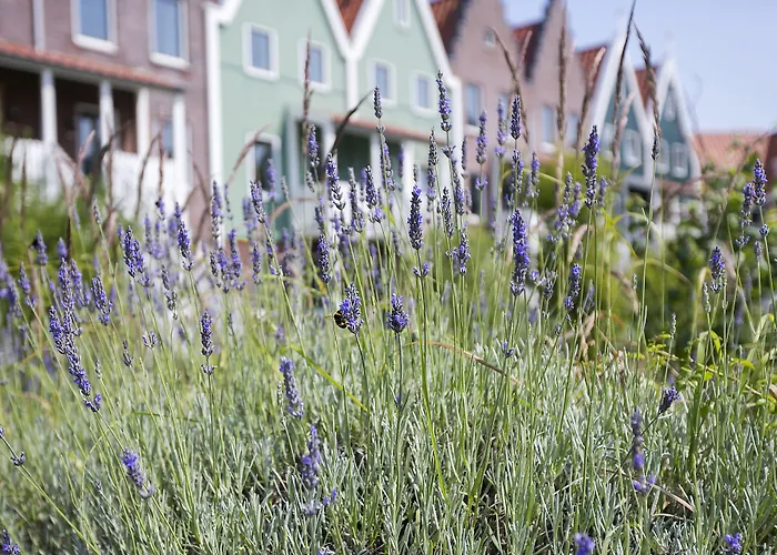 Vakantiepark Roompot Marinapark Volendam